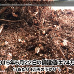 【銅相場情報 2015.6.22】1万円下がりの74万円に改定！