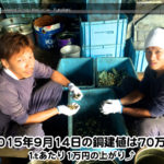 【銅相場情報 2015.9.14】1tあたり1万円の上がり⤴