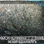 【銅相場情報 2015.11.12】食品ではありませんｗ「ニッケル叩きダコ」をご紹介！