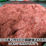 【銅相場情報 2016.2.9】1tあたり1万円下げの58万円☆
