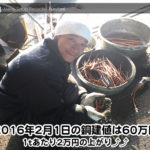 【銅相場情報 2016.2.1】久しぶりに６０万円台に回復したぞ！♬