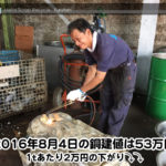 【銅相場情報 2016.8.4】1tあたり2万円下がりの53万円⤵⤵