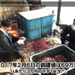 【銅相場情報 2017.2.6】1tあたり3万円下がりの69万円に改定⤵⤵⤵