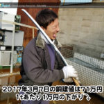 【銅相場情報 2017.3.7】1tあたり1万円下がりの71万円に改定！⤵