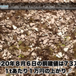 東大阪のスクラップ屋、古谷商店が本日の銅建値をお知らせします☆（^▽^）